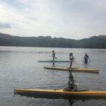 0883909d-6b8c-49c7-9d20-0cbf5347689f.large